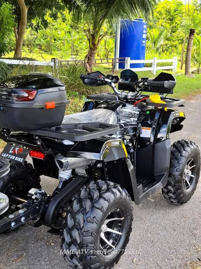 ขาย ATV HORNET 225 ไซร์ ใหญ่จั๊มโบ้ 3