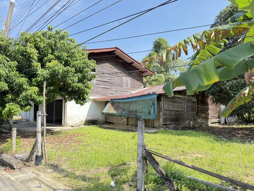 ขายบ้านนราธิวาส บ้านเดี่ยวครึ่งปูนครึ่งไม้ 12