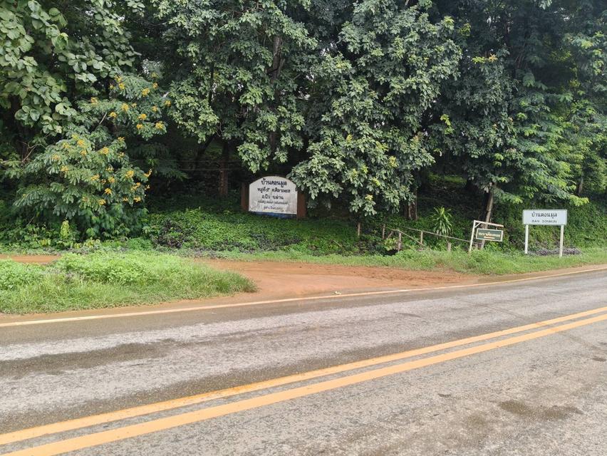 ที่ดิน ทำเลติดภูเขา จ.น่าน 6