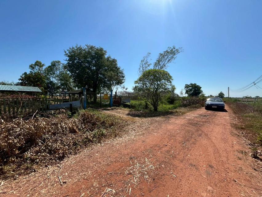 ขายบ้านพร้อมที่ดิน หมู่บ้านท่าคลายแห ใกล้วัดใหม่บำเพ็ญผล 2