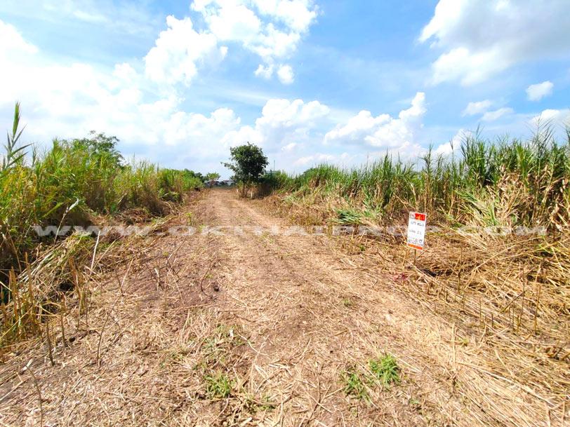 ที่ดินจัดสรรล็อคที่ 21 ถ.346 ต.หน้าไม้ อ.ลาดหลุมแก้ว จ.ปทุมธานี 1