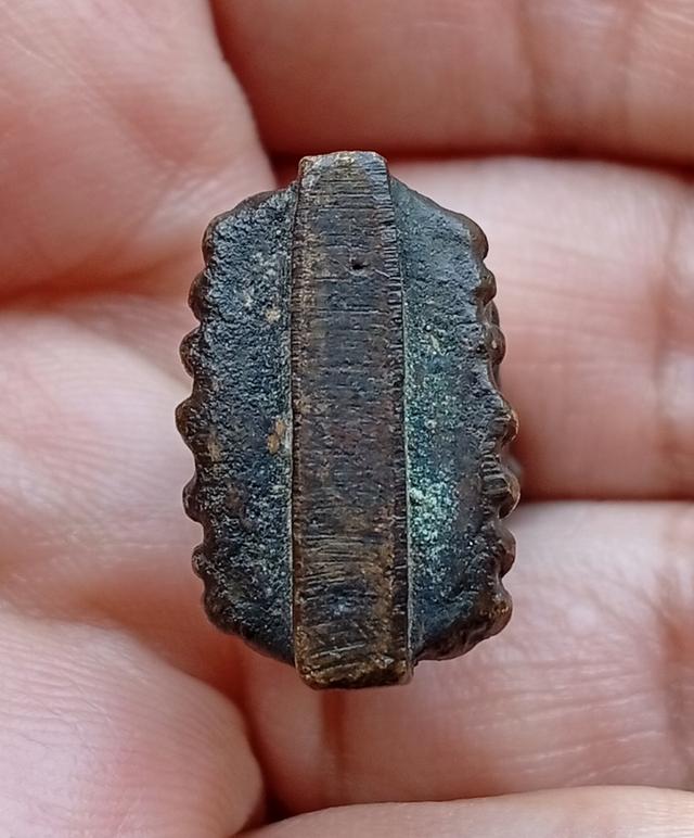 หลวงปู่ทวดพิมพ์ใหญ่ พิเศษ2หน้า วัดช้างให้ ปี2505 รูปที่ 12