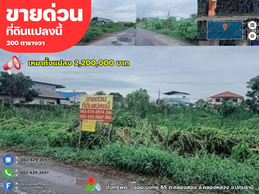 ร้อนเงิน ขายด่วนที่ดินเปล่า 200 ตรว. ซอย บงกช 65 ต.คลองสอง อ.คลองหลวง จ.ปทุมธานี 