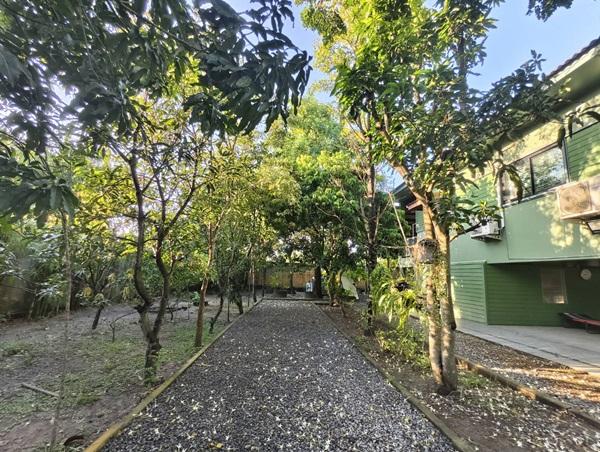 ขายบ้านสวน พร้อมที่ดิน รวม 3 ไร่ บึงกาสาม อ.หนองเสือ จ.ปทุมธานี น้ำไม่ท่วม เจ้าของขายเอง โทร.086-7777215 7