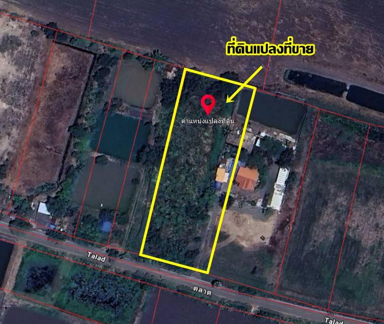 ขายที่ดินเปล่า ดงละคร ใกล้วัดใหม่บำเพ็ญผล ปากพลี นครนายก 4