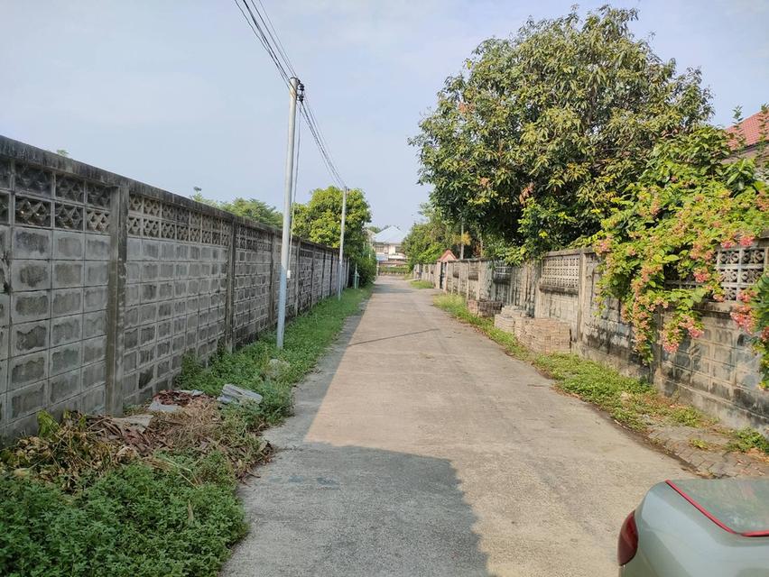 ให้เช่าที่ดินเปล่าถมแล้วในถนนมัยลาภ กรุงเทพมหานคร 4