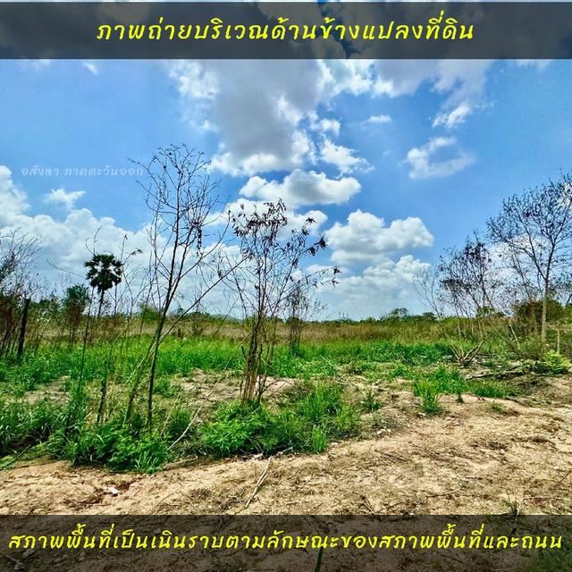 ขายที่ดินสวยบ่อวิน ใกล้ท่าเรือแหลมฉบังชลบุรี 6