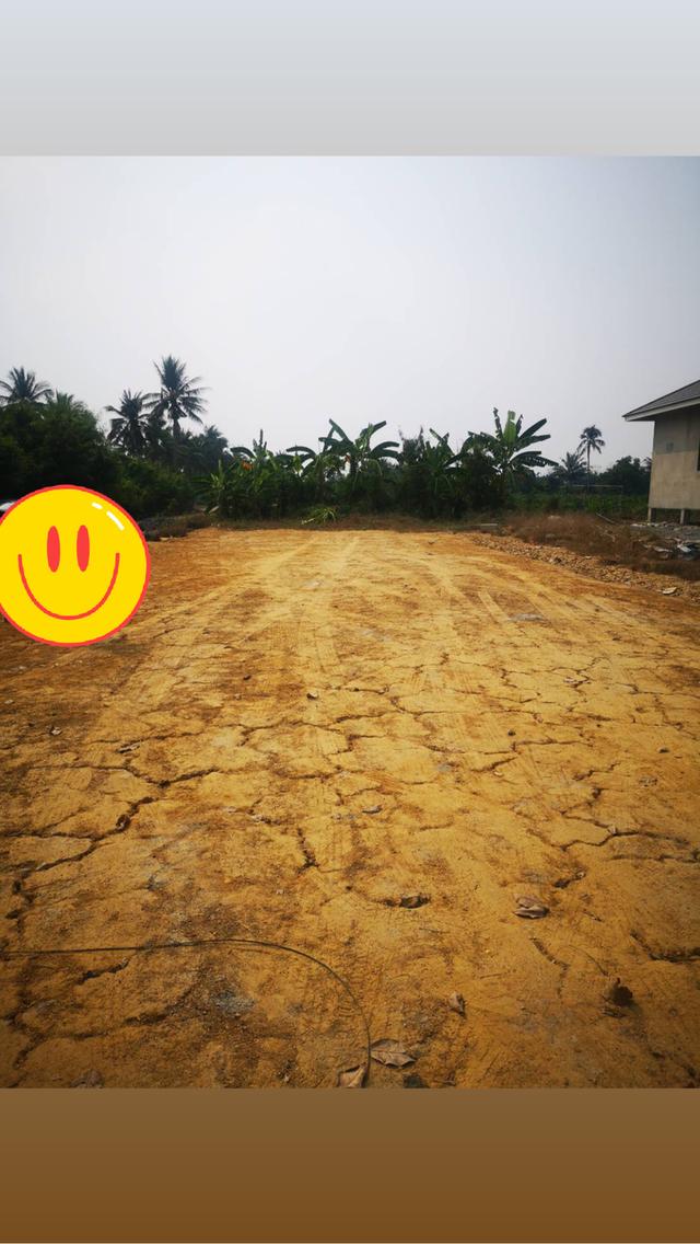 📣 ประกาศขายที่ดิน ทำเลดี สามพราน นครปฐม 📣🏡 ที่ดินขนาด 1 งาน (100 ตร.ว.)📍 6