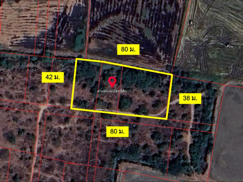 ขาย ที่ดิน ติดเทศบาล ติดเทศบาลโคกพุทรา 2 ไร่ อ่างทอง 2