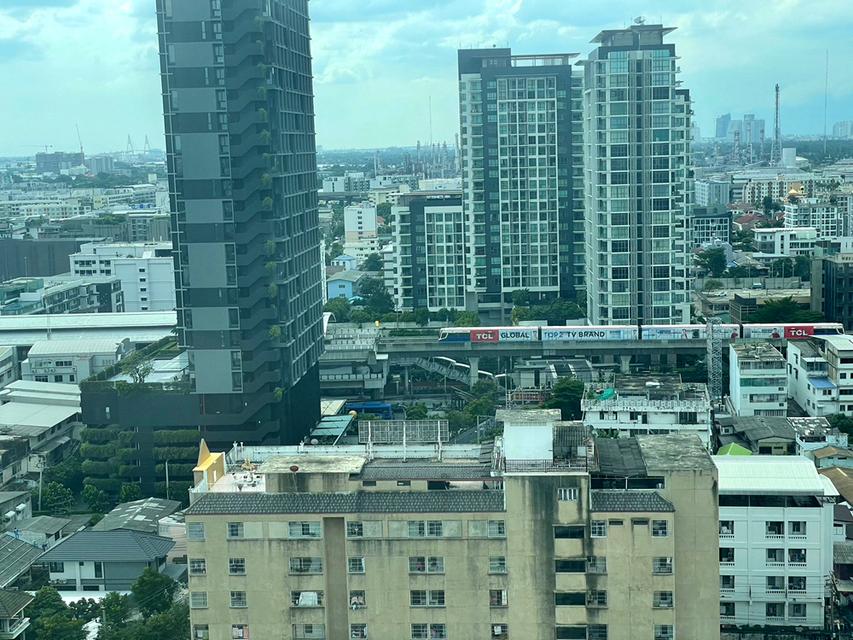 Regent Orchid Sukhumvit 101 ห้องสำหรับเช่า 15