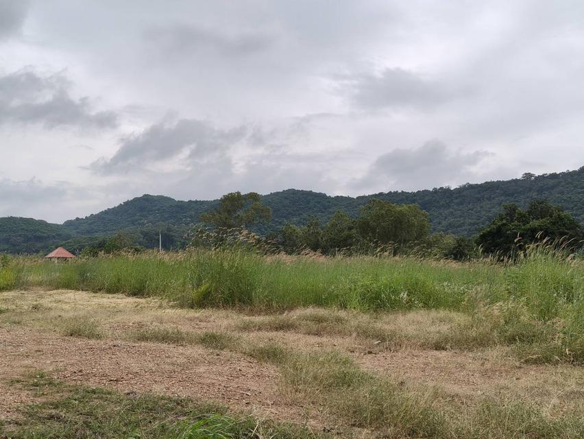 ขายที่เขาใหญ่ หนองสาหร่าย ปากช่อง 8ไร่ วิวเขาล้อมรอบ ใกล้ภูเขา ที่อยู่บนเนินสุดเทควิวสวยมาก ใกล้ 2235 ถนนมิตรภาพ ใกล้ร้านค้าชุมชน ตลาด เซเว่น ขายถูก 5