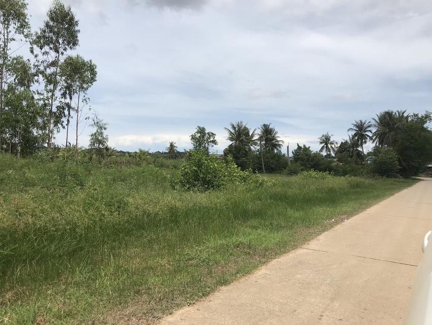 ที่ดินสวยๆ ราคาต่ำกว่าท้องตลอด 2