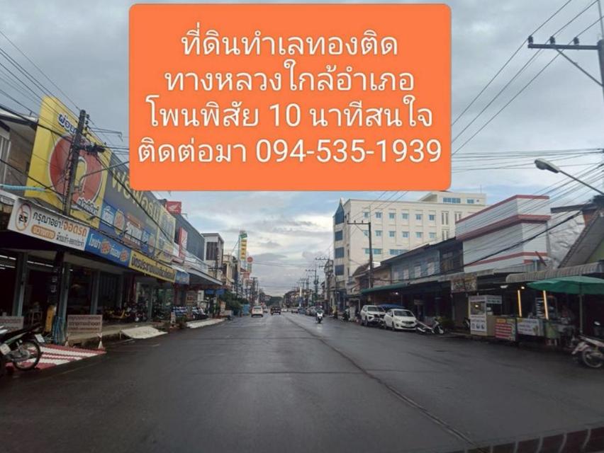 ขายที่ดินติดถนนทางหลวงแผ่นดินเส้นหนองคายบึงกาฬ 25 ไร่ 8