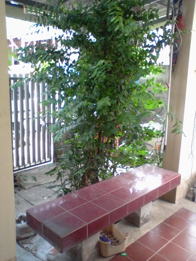 บ้านแฝด สองชั้น 3 ห้องนอน 1 ห้องแม่บ้าน 2 ห้องน้ำมีอ่างอาบน้ำ หลังริม ขนาด 36.1 ตารางวา มียามรักษาความปลอดภัย 24 ชั่วโมง หมู่บ้านติดถนนวิภาวดีรังสิต 7