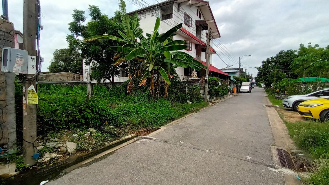 ขายที่ดิน 2