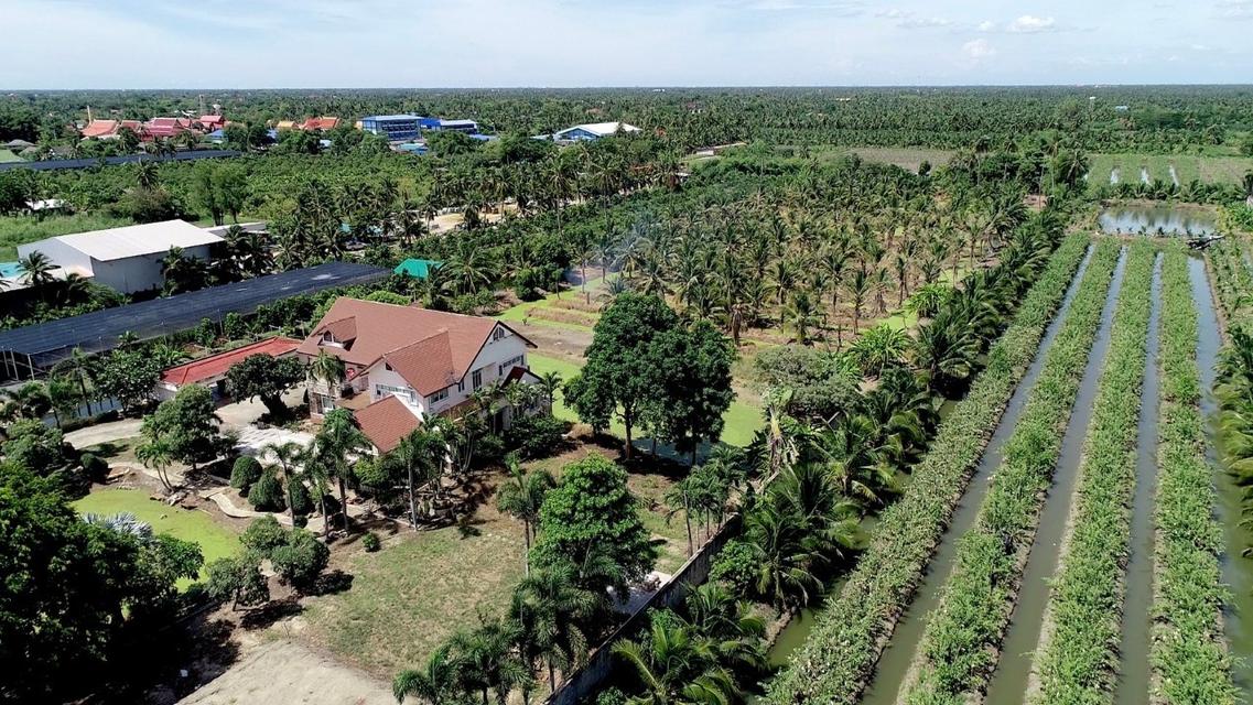 ✨️ขายที่ดินแปลงสวยติดถนนใหญ่  (เส้นบ้านแพ้ว-นครปฐม) หน้าติดถนน...หลังติดคลอง ✨️ 13