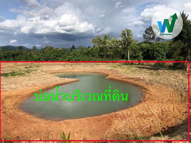 ด่วน ประกาศขายที่ดินเปล่าทำเลดีใกล้วัดผาซ่อนแก้ว 2