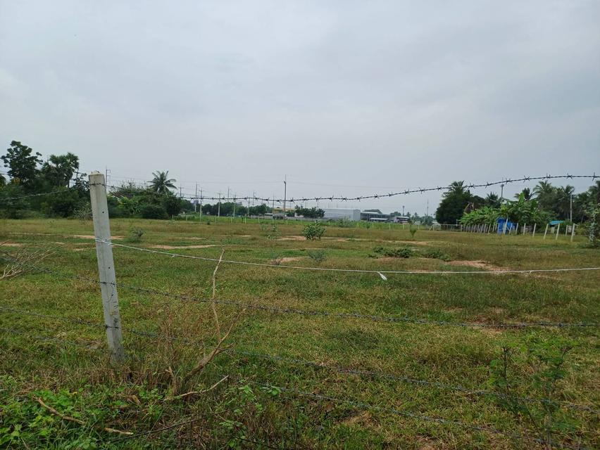 ขายที่ดินเปล่าถมแล้วจำนวน 4 ไร่ ต.เขาขลุง อ.บ้านโป่ง จ. ราชบุรี ห่างถนนใหญ่ 40 เมตร(ถนนกำลังขยาย 4 เลน) 15