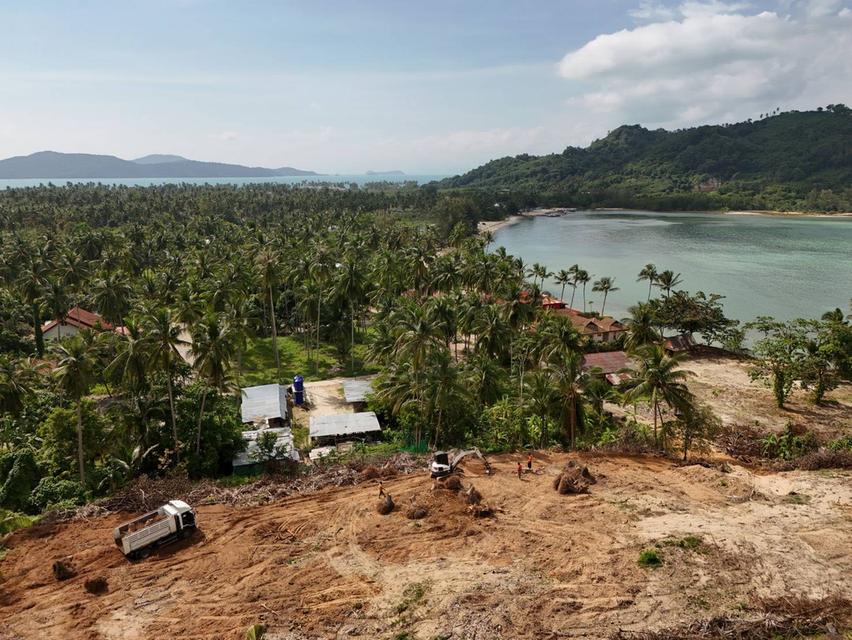 ขายที่ดินเกาะสมุย 2 ไร่ ตลิ่งงาม ใกล้ทะเล แบ่งขาย เหมาะสร้างวิลล่าและรีสอร์ต 5