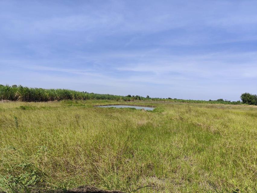 Sale beautiful land Nakhon Pathom near University Kaset