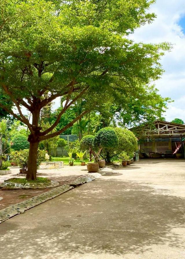 ขายที่ดินพร้อมบ้านเดี่ยว 2 ชั้น สไตล์คลาสสิก กรุงเทพนนท์ 14 ทำเลดี ใกล้ MRTแยกติวานนท์ 150 เมตร 17