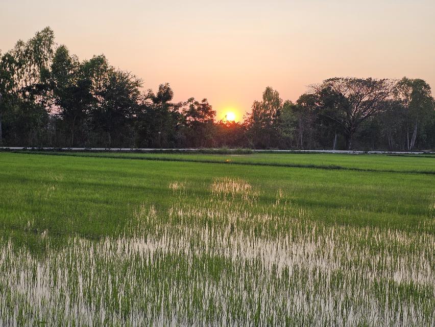 ที่ดิน อ.เมือง จ.ขอนแก่น 2