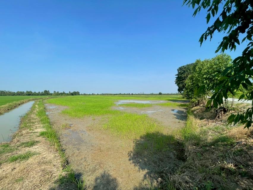 ที่ดิน จำนวน 9 ไร่ จ.สุพรรณบุรี 1