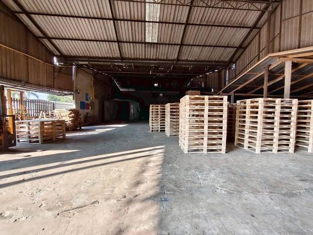 ขายโกดังโรงงานบ่อทองชลบุรี เนื้อที่ 4-2-73 ไร่ พื้นที่สีเหลืองอ่อนเขต EEC ธุรกิจเดิมผลิตไม้พาเลท 3