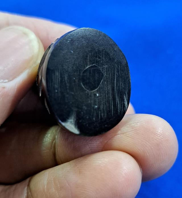 #เสือเขาควาย อุดกริ่ง หลวงพ่อเปิ่น วัดบางพระ นครปฐม 6