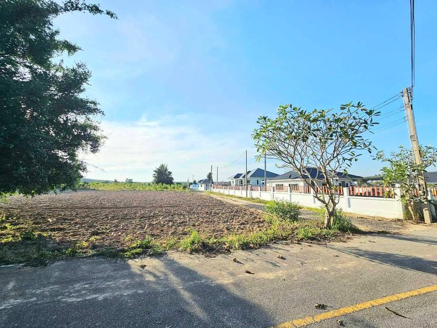 ขายที่ดิน 13 ไร่ ปลวกแดง จ.ระยอง 2