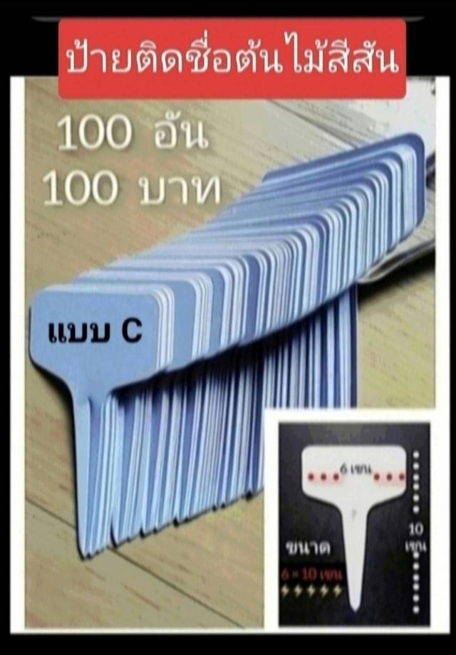 ป้ายติดชื่อต้นไม้สีสัน