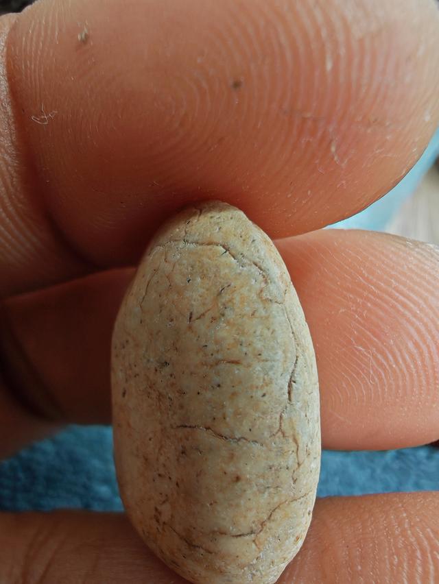 สมเด็จวัดพลับ พิมพ์พุงป่องใหญ่ รูปที่ 15