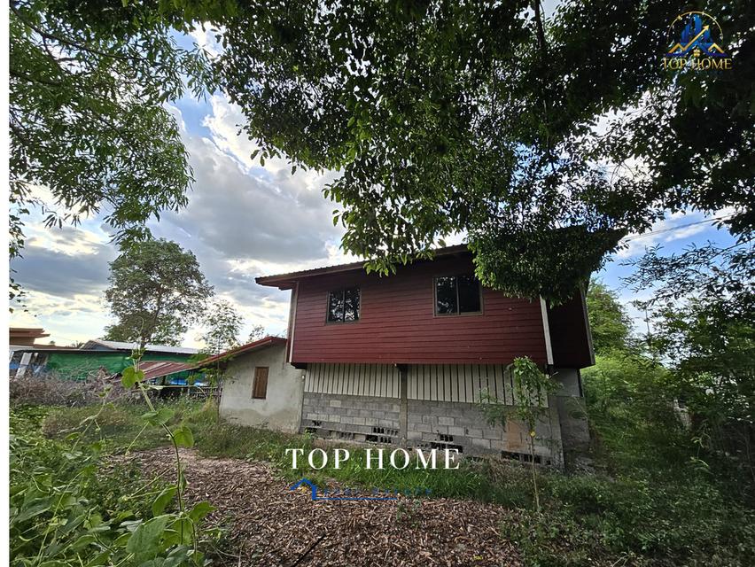 [ขายด่วน!] ที่ดินแปลงใหญ่ 331 ตร.ว. พร้อมบ้านครึ่งปูนครึ่งไม้ จ.นครราชสีมา 1