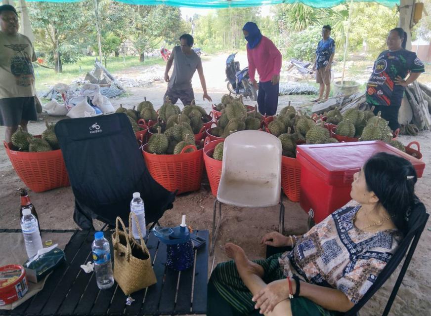 ที่ดินทำเลทอง บ้านพร้อมสวนทุเรียน 6