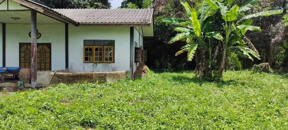 ที่ดินพร้อมบ้าน 2025 6