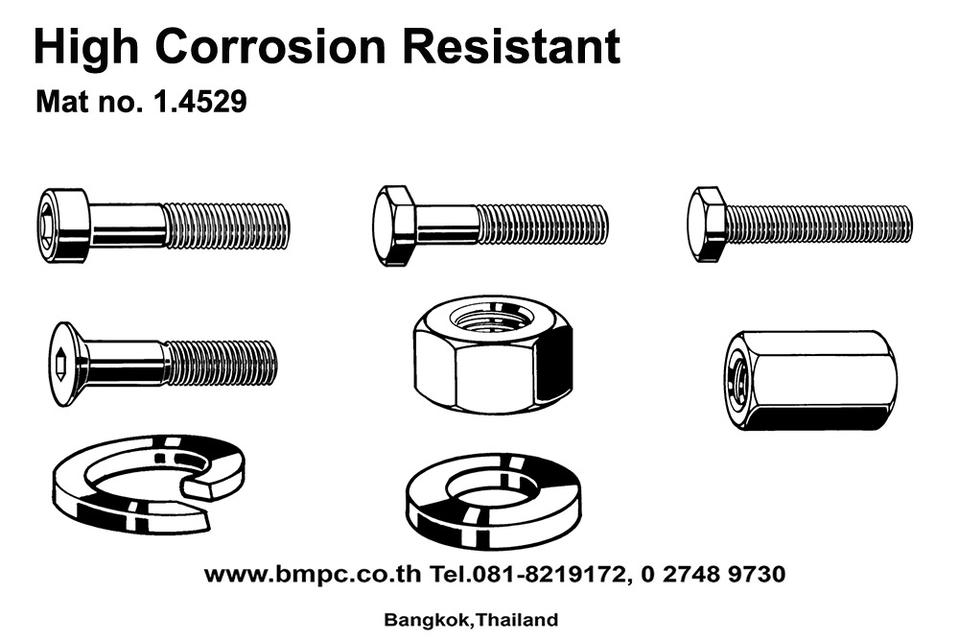High corrosion resistant fasteners, Duplex bolt, A5, AISI316Ti รูปย่อยที่ 2