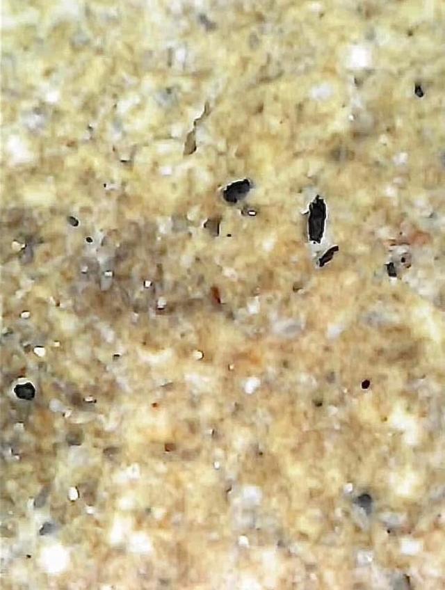 พระสมเด็จวัดระฆังพิมพ์ใหญ่เกศทะลุซุ้ม 13