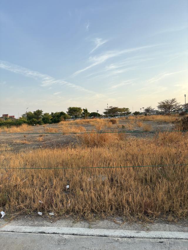 ขายที่ดิน 2 ไร่ จังหวัดสมุทรปราการ 1