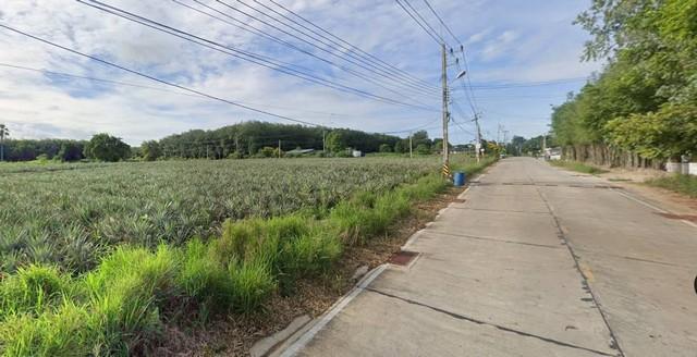 ให้เช่าที่ดินศรีราชาชลบุรี ให้เช่าที่ดิน 10 ไร่ สีม่วงลาย ห่างจากท่าเรือแหลมฉบัง 37 กม. 2