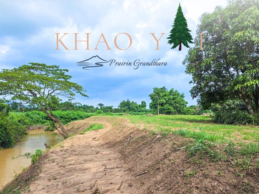 บรรยากาศเขาใหญ่ ปากช่อง #ติดลำธาร  เพียง 7,500/ตรว. ผ่อน12งวด #ฟรีดอกเบี้ย 16