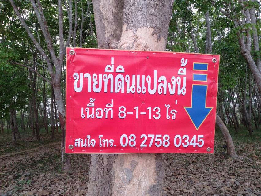 สวนยางมีโฉนด ติดถนนสองด้าน 6