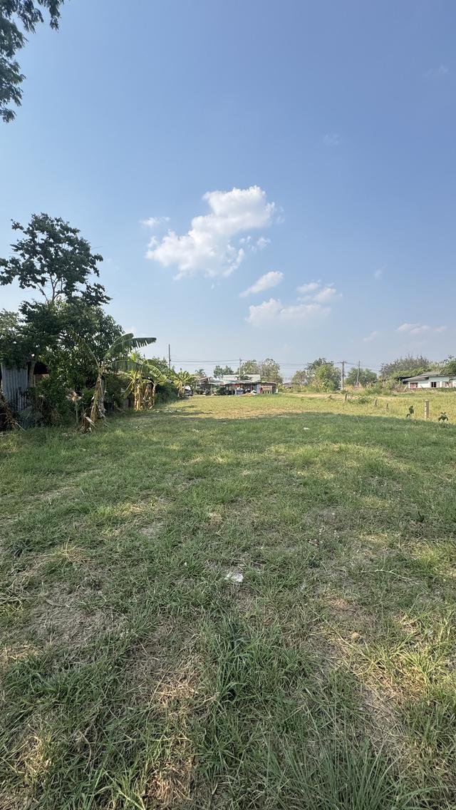 ที่ดินพร้อมเซ้งกิจการต่อได้เลย ร้านส้มตำไก่ย่าง ร้านเป็นที่นิยม หรือเหมาะสร้างห้องพัก ห้องเช่า ทำกิจการ 12