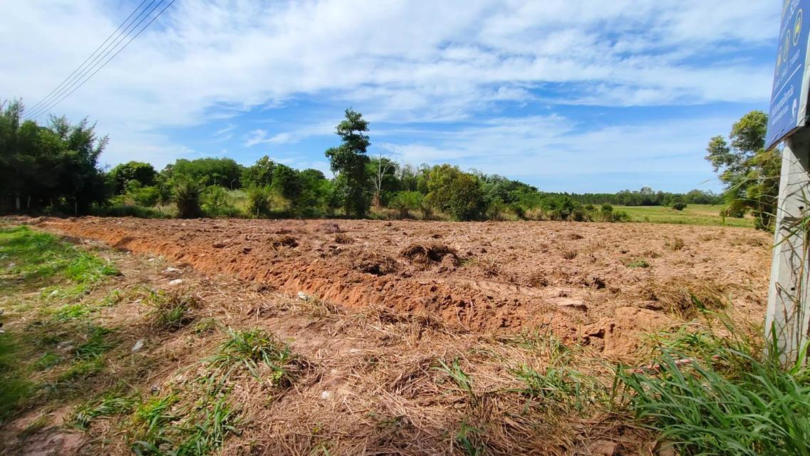 ขายที่ดินบ่อวินซอยตลาดลุงอ้วนเนื้อที่ 5 ไร่ หลังนิคมอีสเทอร์ซีบอร์ด ใกล้ถนนเส้น331-8กม. อ.ศรีราชา ชลบุรี 1