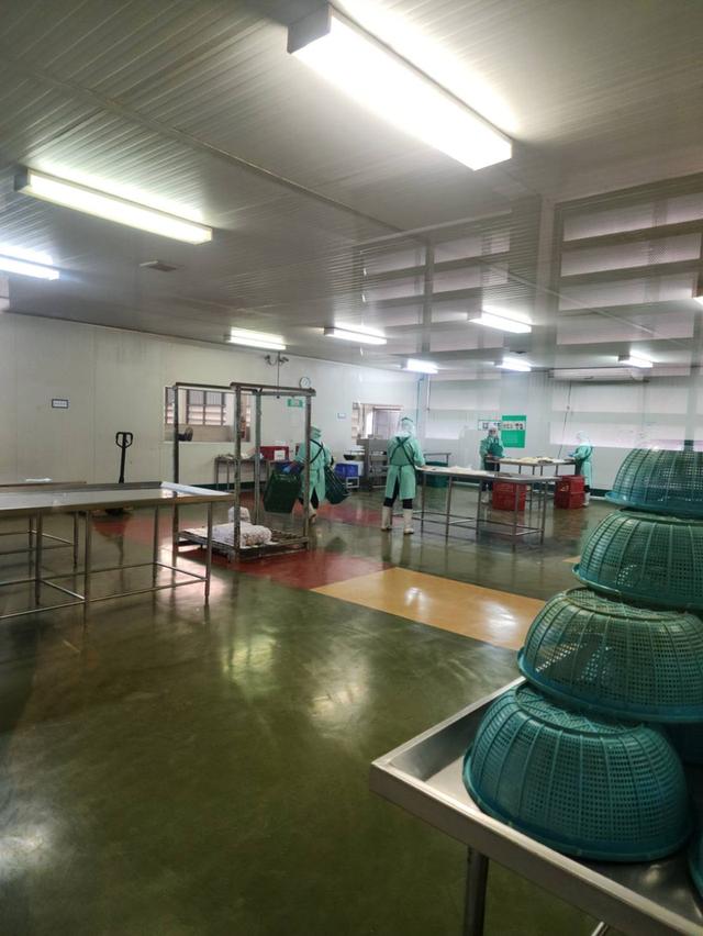 WAN401โรงงานแปรรูปสินค้าเกษตร หอม กระเทียม พริกแห้ง ขิง ในตลาดไท   ปทุมธานี ขาย 65,000,000  บาท (ราคาต่อรองได้ค่ะ) 1
