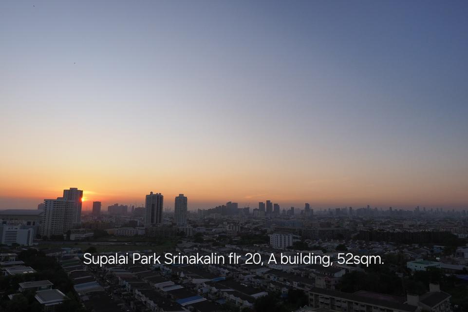 ปล่อยเช่าคอนโด Supalai Park Srinakalin Condo 15