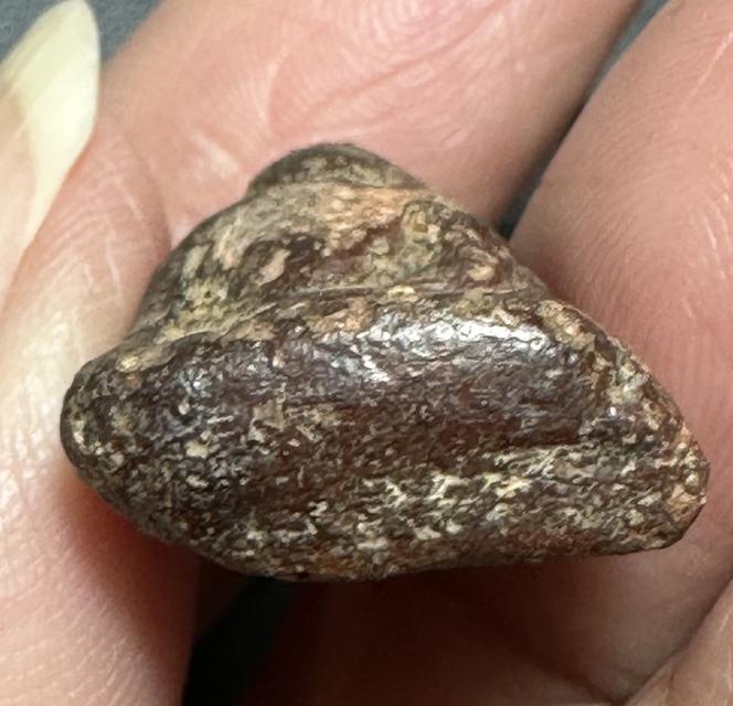 พระนางพญาพิมพ์ อกนูนเล็ก