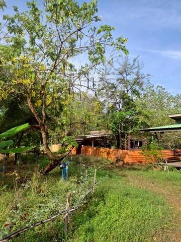 ขายที่ดิน เนื้อที่รวม 15-0-12.6 ไร่ ตำบลโคกสลุง อำเภอพัฒนานิคม จังหวัดลพบุรี