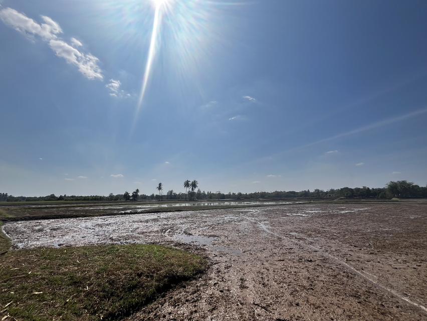 ขายที่นา 9 ไร่ ไม่ไกลจากตัวเมืองขอนแก่น 7