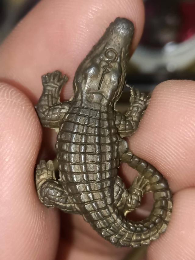 จระเข้หลวงพ่อสนิท วัดลำบัวลอย ปี67 รุ่นไตรมาส สภาพสวย