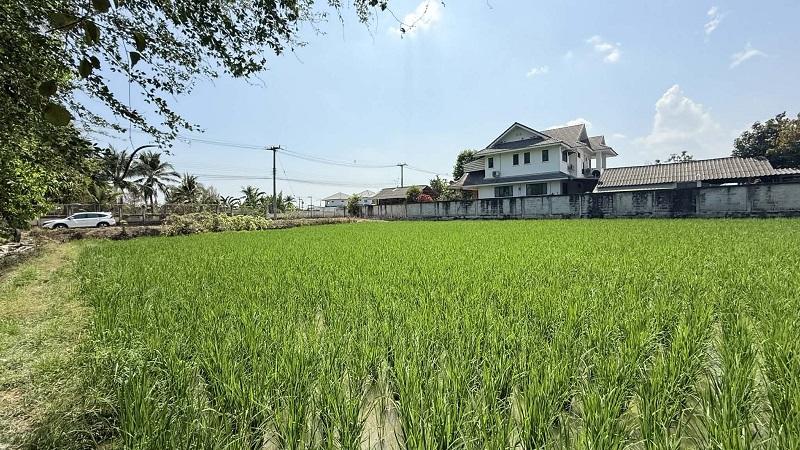 ขายที่ดินเปล่าแปลงสวย ขนาด2ไร่ ใกล้มหาวิทยาลัยแม่โจ้ เหมาะสำหรับพัฒนาโครงการ สันทราย เชียงใหม่. 4